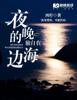 独自在夜晚的海边 夸克