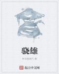 骁雄锂电池