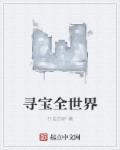 寻宝 全世界