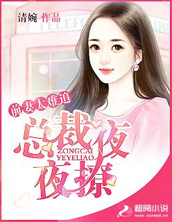 前妻太难追总裁夜夜撩 清婉