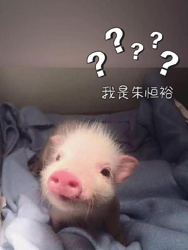 朱恒禹
