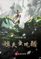 姐夫的