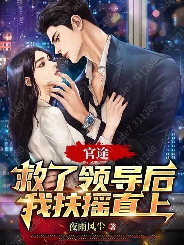 官途救了领导后我扶摇直上 夜雨风尘