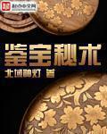 鉴宝秘术张天元免费阅读最新章节