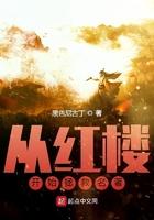 从红楼开始拯救名著无错
