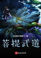 菩提武道 淡淡的平常者