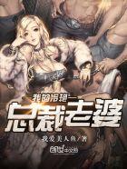 我的冷艳总裁老婆TXT