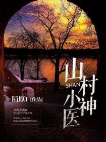 山村小神医陆凡正版