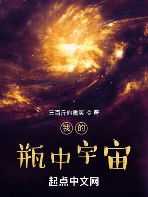 我的瓶中宇宙结局是什么