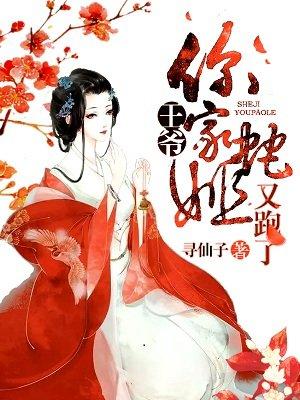 王爷你家王妃又闯祸了