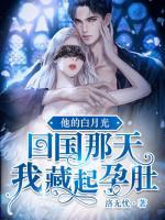 沈云雾秦夜大结局
