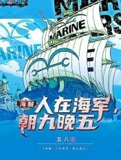 海贼人在海军朝九晚五