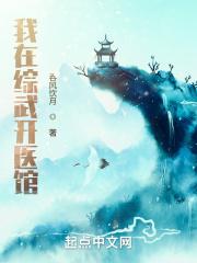 我在综武开医馆大结局