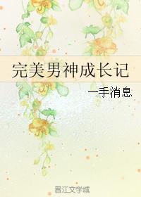 完美男神连载