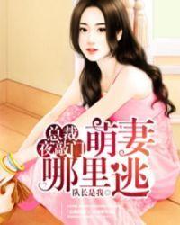 萌妻哪里逃免费