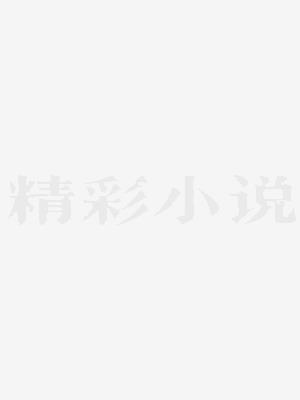 心有琉璃瓦 安徽文艺出版社