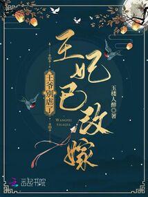王爷别虐了王妃已改嫁txt