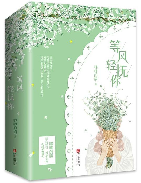 等风轻抚你txt百度全文
