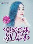 傲娇女总裁的医皇保镖短剧全集