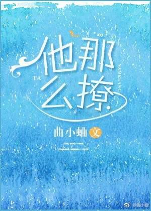 浅尝不止免费阅读全文