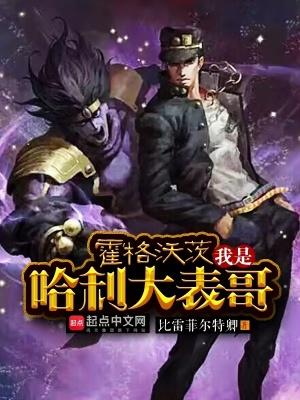 霍格沃茨之我是哈利波特