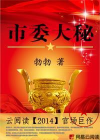 市委大秘分类