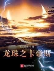 龙珠之卡卡洛特游戏