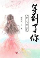 夫人走了