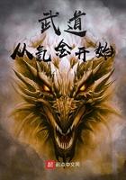 武道从氪金开始起点