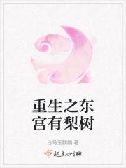 东宫同人重生文