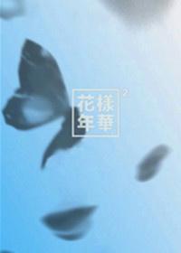 花样年华BTS是哪一年