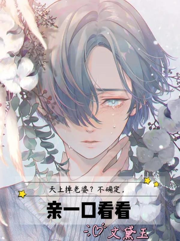 天上掉下个妻主免费阅读全文