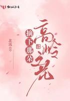 摘下那朵高岭之花妙机全文免费阅读