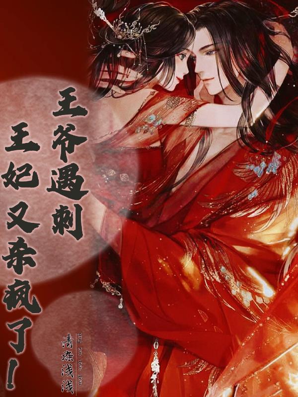 王妃刺伤王爷