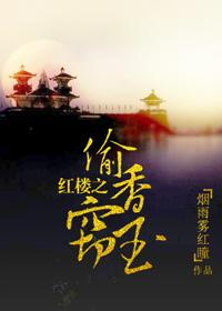 红楼梦7偷香窃玉