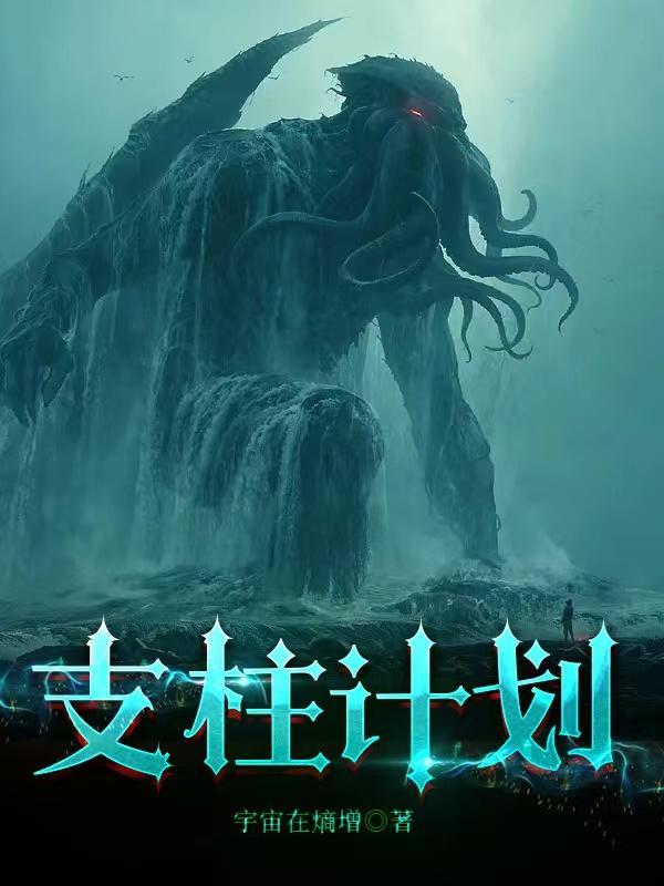什么叫支柱