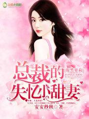 腹黑宝贝总裁的失忆妻