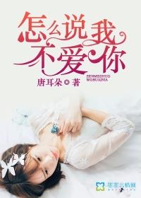 怎么说我不爱你DJ版