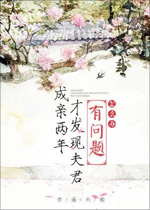 成亲一年后夫君边关遇险