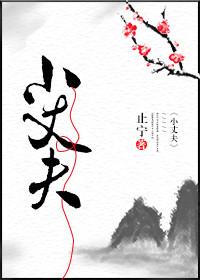 小丈夫电视剧剧情