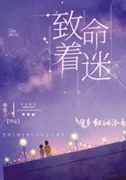致命着迷苏柔赵刚TXT