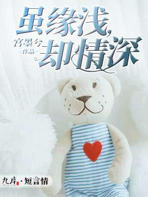 缘浅缘深缘至于情