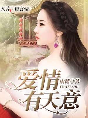 爱情自有天意电视剧免费观看