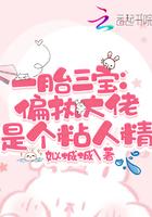 一胎二宝偏执总裁太危险