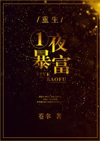 重生之一夜暴富全文