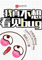 我真不想看不见bug