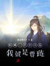 我就是贾琏的嫡子