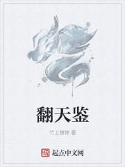 翻天鉴TXT