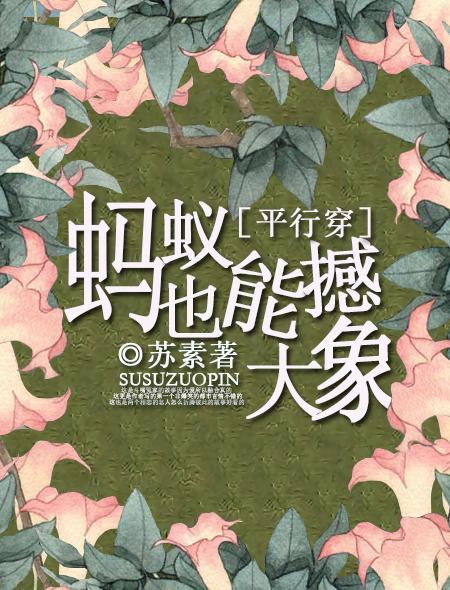 蚂蚁能不能抬动大象