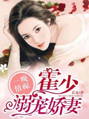 一夜情深霍少放宠